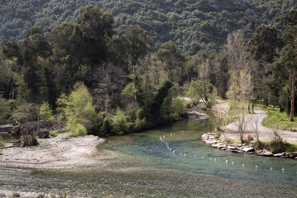 Residence Hoteliere Capu Seninu Porto  Pokoj fotografie